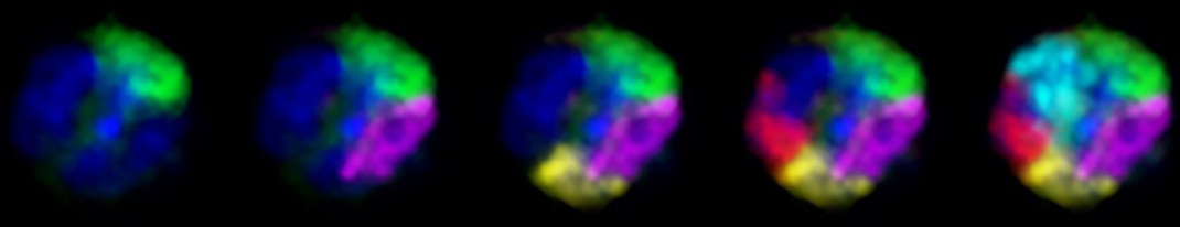 whole-genome-paints_V4